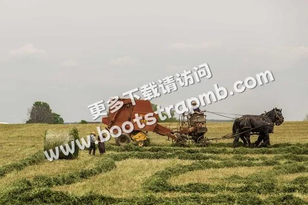 ⊞ Portfolio - 九游linmuyun